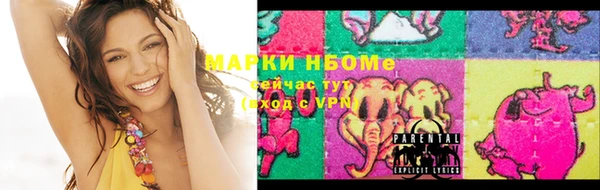 МДПВ Бородино