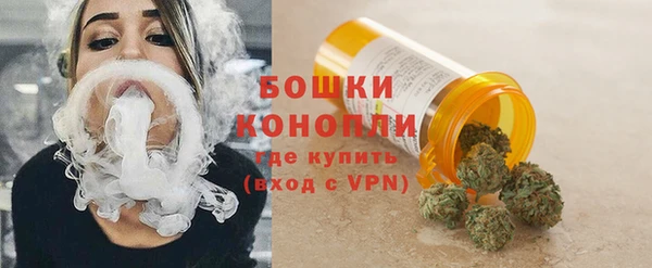 МДПВ Бородино