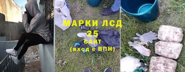 МДПВ Бородино