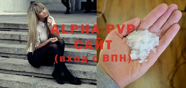 МДПВ Бородино