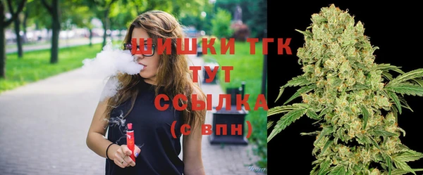 МДПВ Бородино