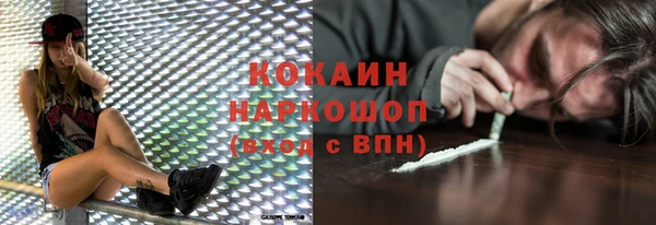МДПВ Бородино