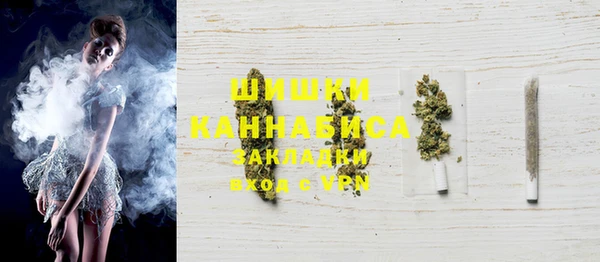 МДПВ Бородино
