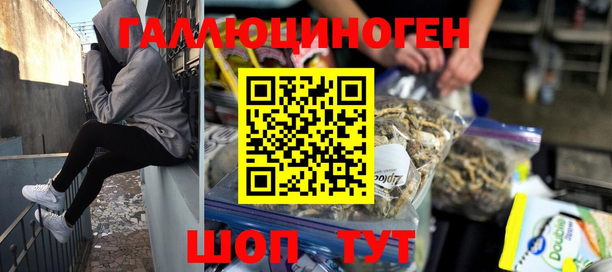 Псилоцибиновые грибы прущие грибы Бугульма