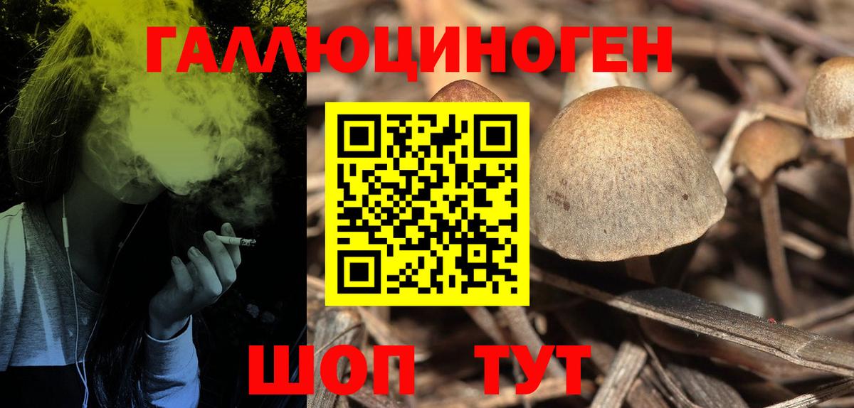 Галлюциногенные грибы мухоморы  что такое   Бугульма 